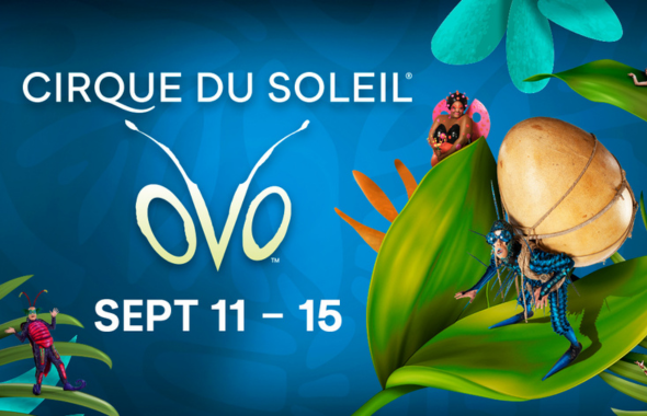 Cirque du Soleil - OVO